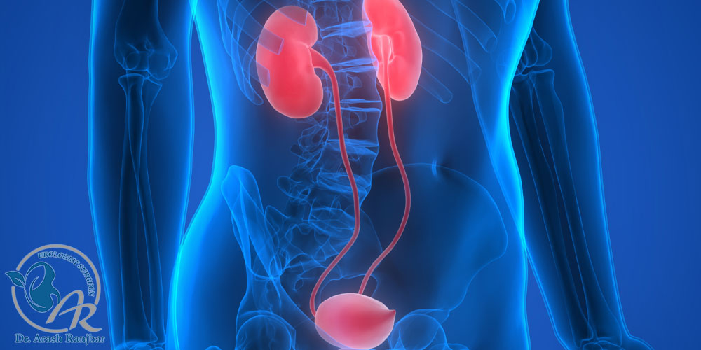 تفاوت متخصص کلیه و اورولوژیست