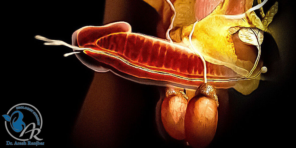 انزال خشک چیست